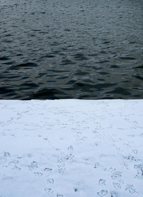 Les conséquences de l'hypothermie en milieu marin : prévention et solutions